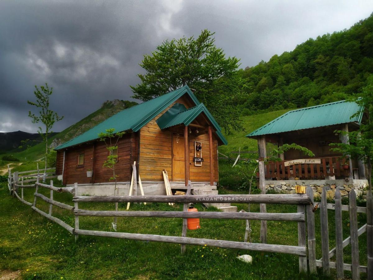 Villa Rakovic Katun - Biogradska Gora Accomodation Berane Exterior foto